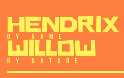 Hendrix By Name Willow By Nature