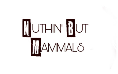 Nuthin’ But Mammals